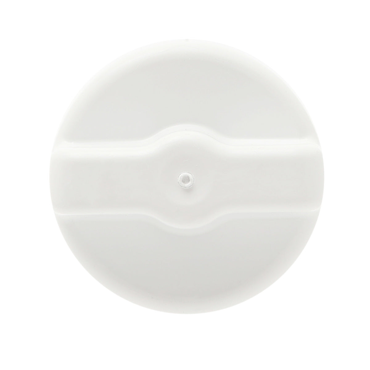 GE WG03F04947 RPWFE Fridge Water Filter