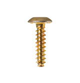 GE Twin Helix Range Part WW01A00063, 9-15X 3/4" Screw