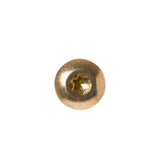 GE Twin Helix Range Part WW01A00063, 9-15X 3/4" Screw