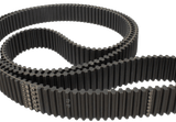 D536-8M-50 | Dual High Torque Timing Belt