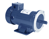 Max Motion MM1518FC | DC Motor 1.5HP, 1750RPM, 180V (DC), Frame 145T(C), TEFC