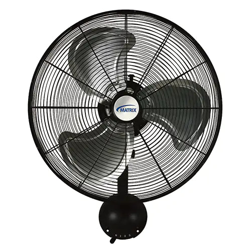 High-Velocity Oscillating Wall Fan, Industrial, 20" Dia., 3 Speeds