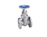 Flanged Gate Valve Class 150 Stainless Steel 316