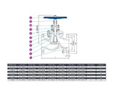 Flanged Globe Valve Class 150 Stainless Steel 316