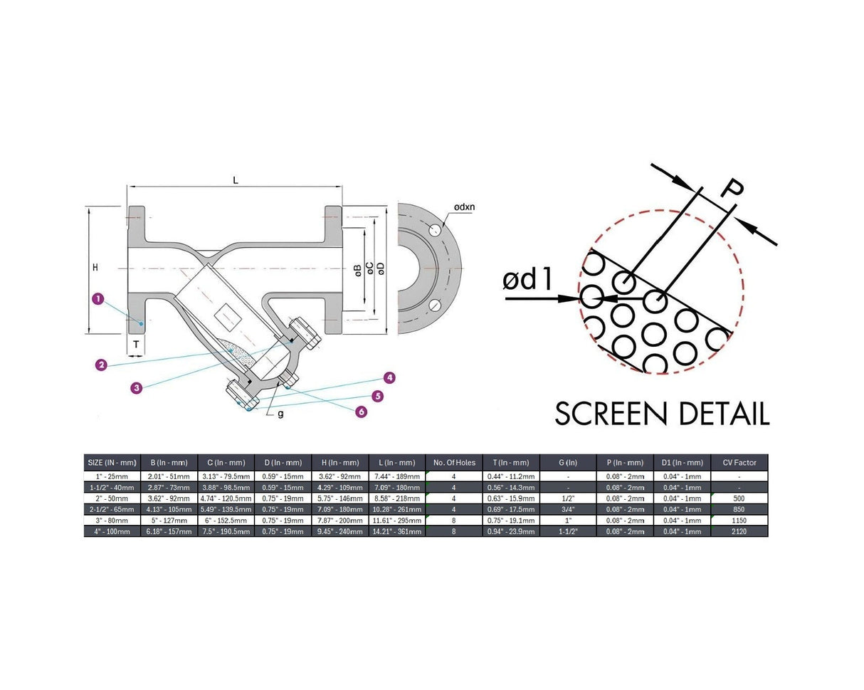 Flanged "Y" Strainer Class 150 Stainless Steel 316