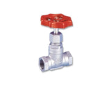 Globe Valve NPT 200 WOG Stainless Steel 316