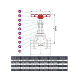 Globe Valve NPT 200 WOG Stainless Steel 316
