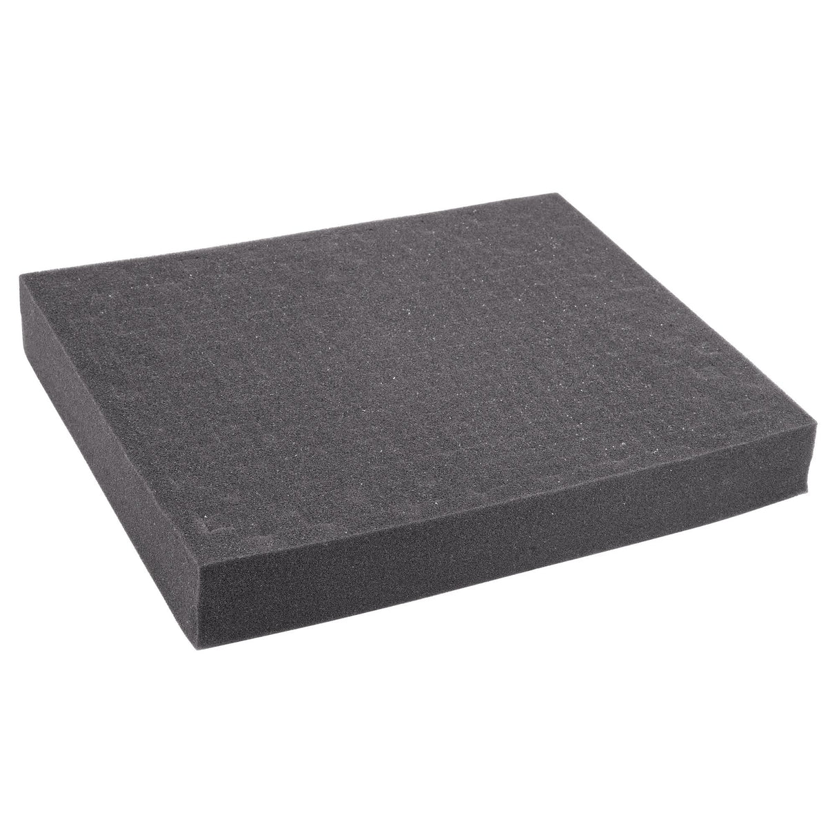 Replacement Foam for REED R8888