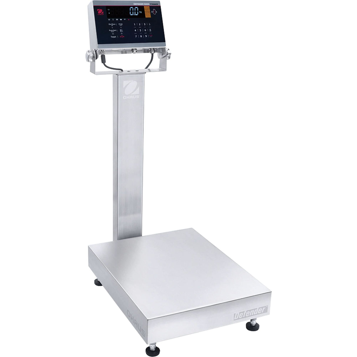 Defender™ 6000 Washdown Bench Scale, 300 lbs. Capacity, 19-7/10" L x 15-7/10" W