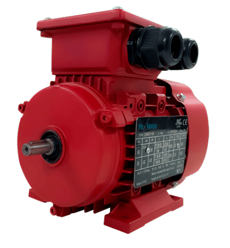 Max Motion IJC315M-6-59 | IEC Motor 125HP, 1200RPM, 575/990V, Frame 315M, TEFC