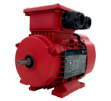 Max Motion IJC315M-2-47 | IEC Motor 175HP, 3600RPM, 460/796V, Frame 315M, TEFC