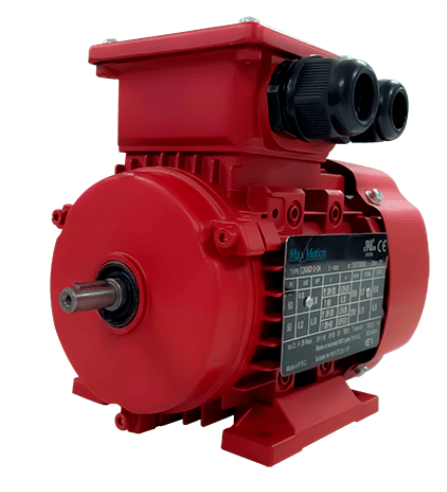 Max Motion IJC315L2-2-47 | IEC Motor 270HP, 3600RPM, 460/796V, Frame 315L, TEFC