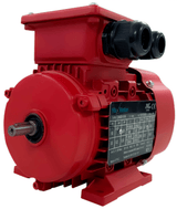 Max Motion IJC315L2-2-59 | IEC Motor 270HP, 3600RPM, 575/990V, Frame 315L, TEFC