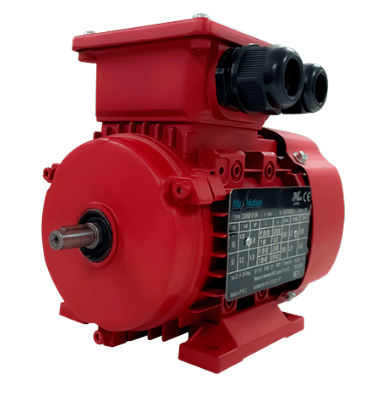 Max Motion IJA290S-2-24 | IEC Motor 2HP, 3600RPM, 208-230/460V, Frame 90S, TEFC