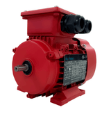 Max Motion IJA2112M-6-59 | IEC Motor 3HP, 1200RPM, 575/990V, Frame 112M, TEFC