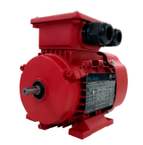 Max Motion IJA2100L-2-35 | IEC Motor 4HP, 3600RPM, 333/575V, Frame 100L, TEFC