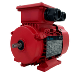 Max Motion IJA90L2-2-35 | IEC Motor 4HP, 3600RPM, 333/575V, Frame 90L, TEFC