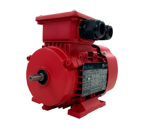 Max Motion IJC200L2-2-47 | IEC Motor 50HP, 3600RPM, 460/796V, Frame 200L, TEFC