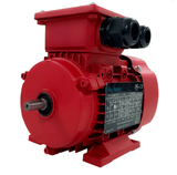 Max Motion IJC200L2-2-59 | IEC Motor 50HP, 3600RPM, 575/990V, Frame 200L, TEFC