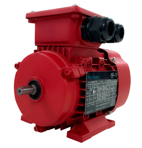 Max Motion IJC225M-2-47 | IEC Motor 60HP, 3600RPM, 460/796V, Frame 225M, TEFC