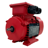 Max Motion IJC250M-4-47 | IEC Motor 75HP, 1800RPM, 460/796V, Frame 250M, TEFC