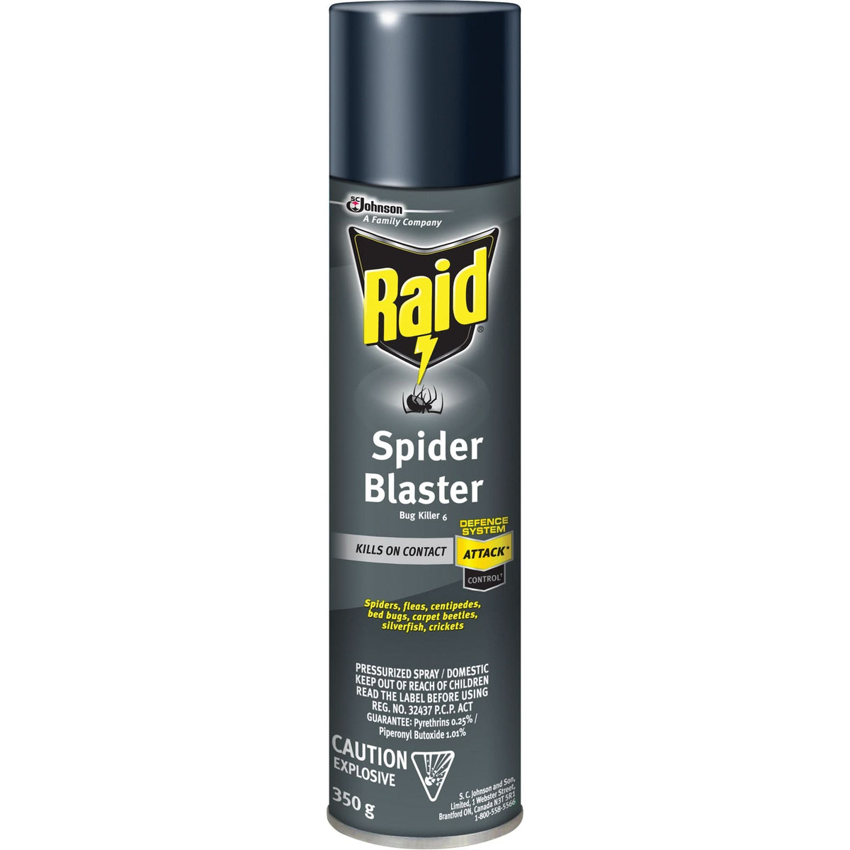 Raid® Spider Blaster Bug Killer Insecticide, 350 g, Aerosol Can, Solve ...