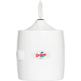 Wall-Mounted Dispenser