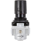 ARS12 Air Regulator, 1/2" NPT, 220 PSI Max. PSI, Standard