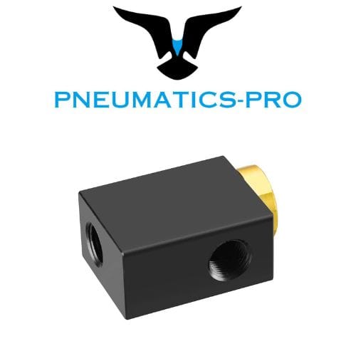 QE-N02: 1/4" Quick Exhaust Valve