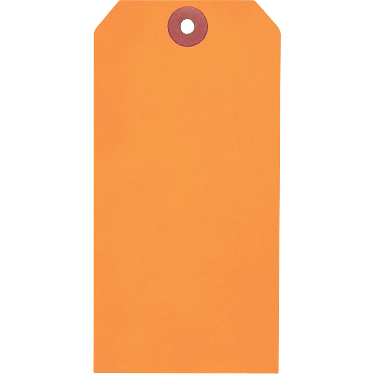 Coloured Blank Tags, Paper, 3-1/8" W x 6-1/4" H