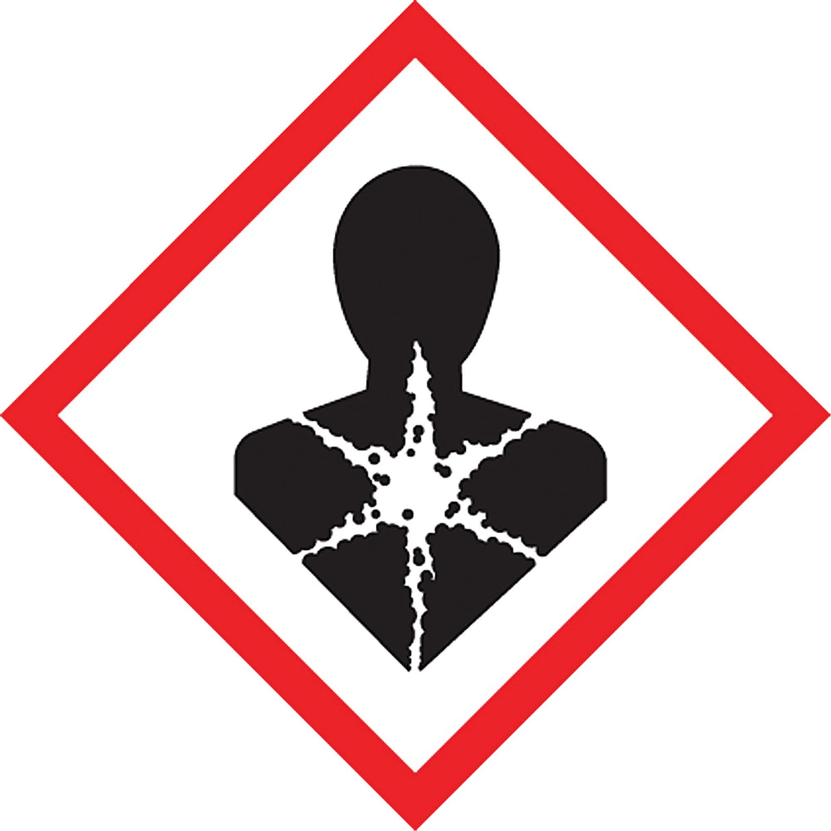 GHS Pictogram Labels, Vinyl, Sheet, 4" L x 4" W