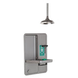 Eye/Face Wash and Shower, Ceiling-Mount