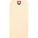 Manila Blank Tags, Cardstock, 3-1/8" W x 6-1/4" H