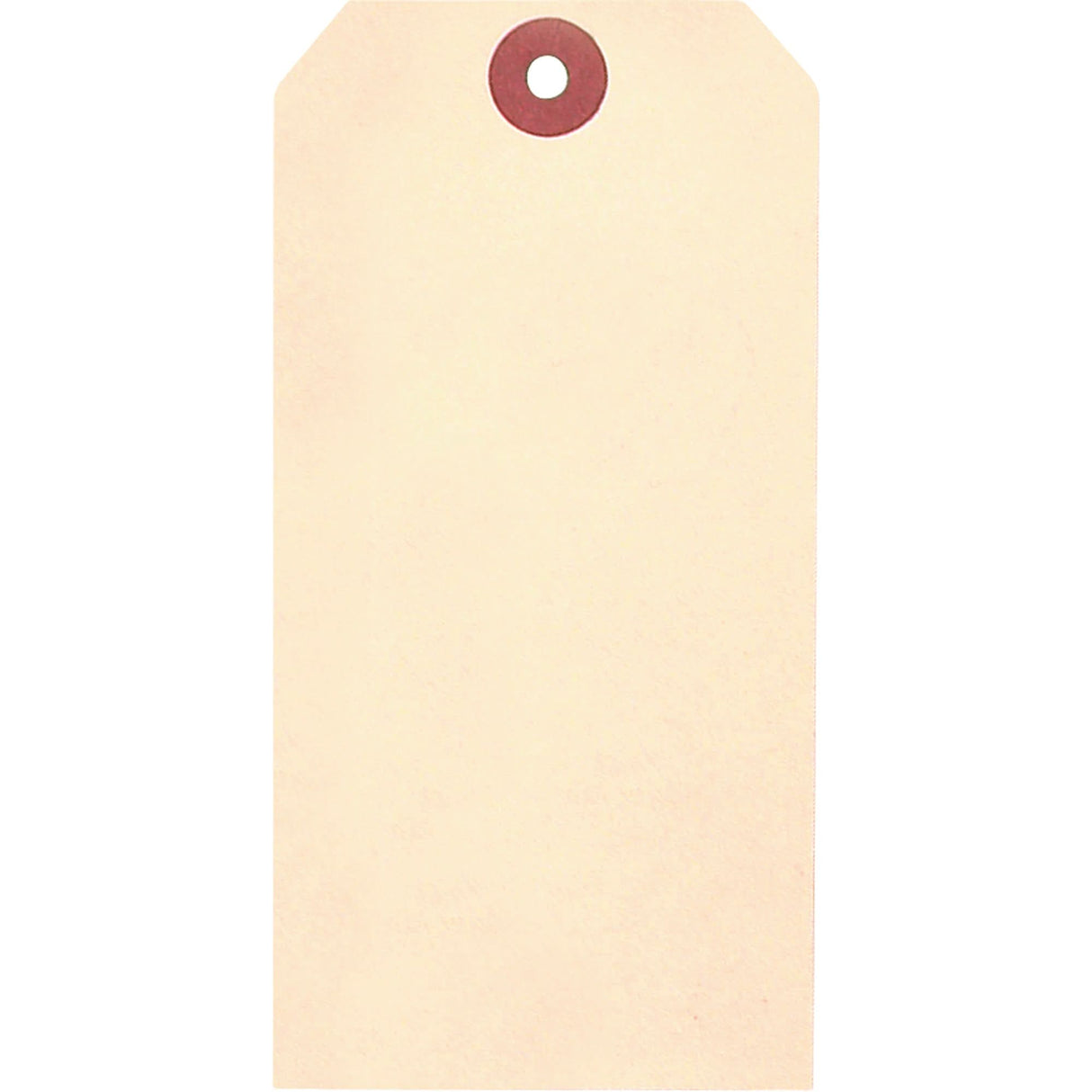 Manila Blank Tags, Cardstock, 1-3/8" W x 2-3/4" H