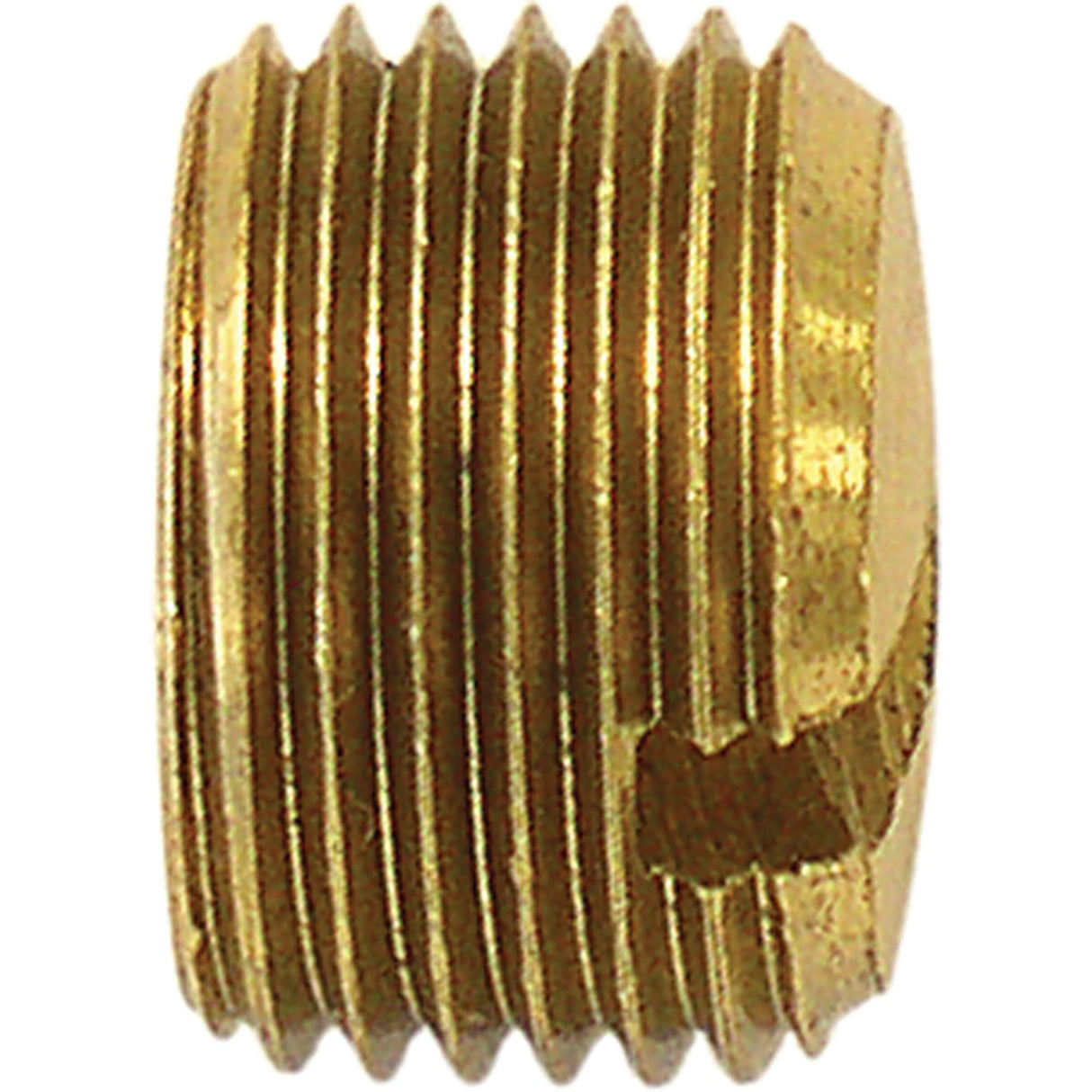 Pipe Plug (Slotted), 3/8" Dia., Brass