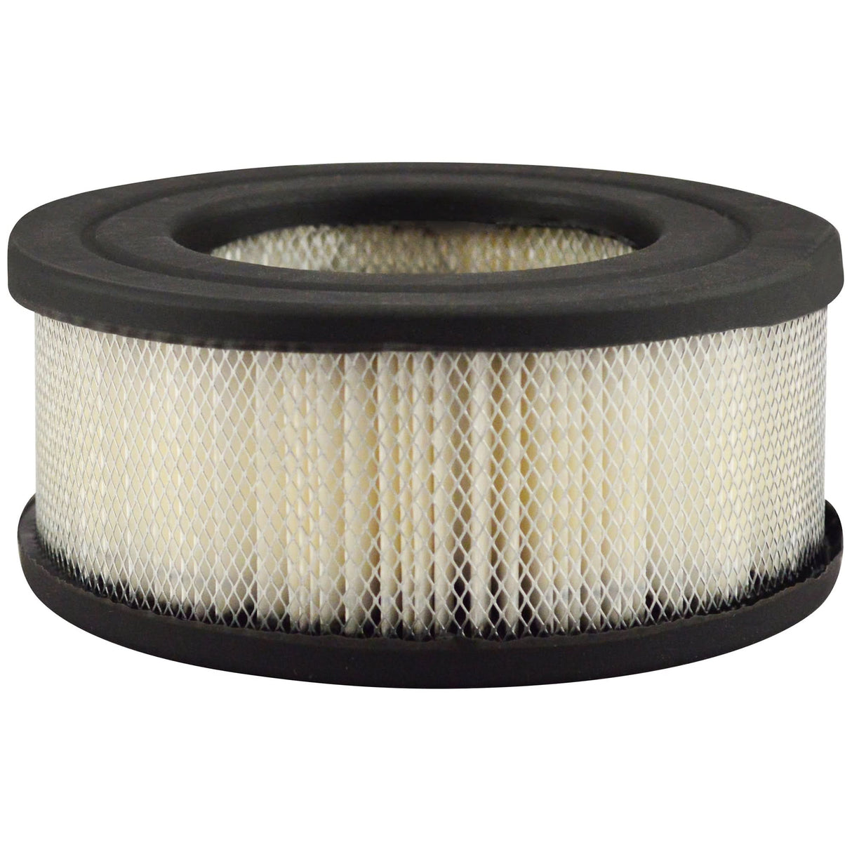 PA1832 Air Element