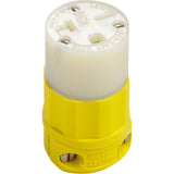 2-Pole 3-Wire Grounding Straight Blade Connector, 5-20P, Nylon