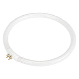 Replacement Fluorescent Bulb for Rhinomag Illuminated Magnifiers, 22 W