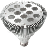 Dock Lights - Accessories, PAR38