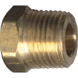 Hex Head Cored Plug, Pipe, 1/2" Dia., Brass