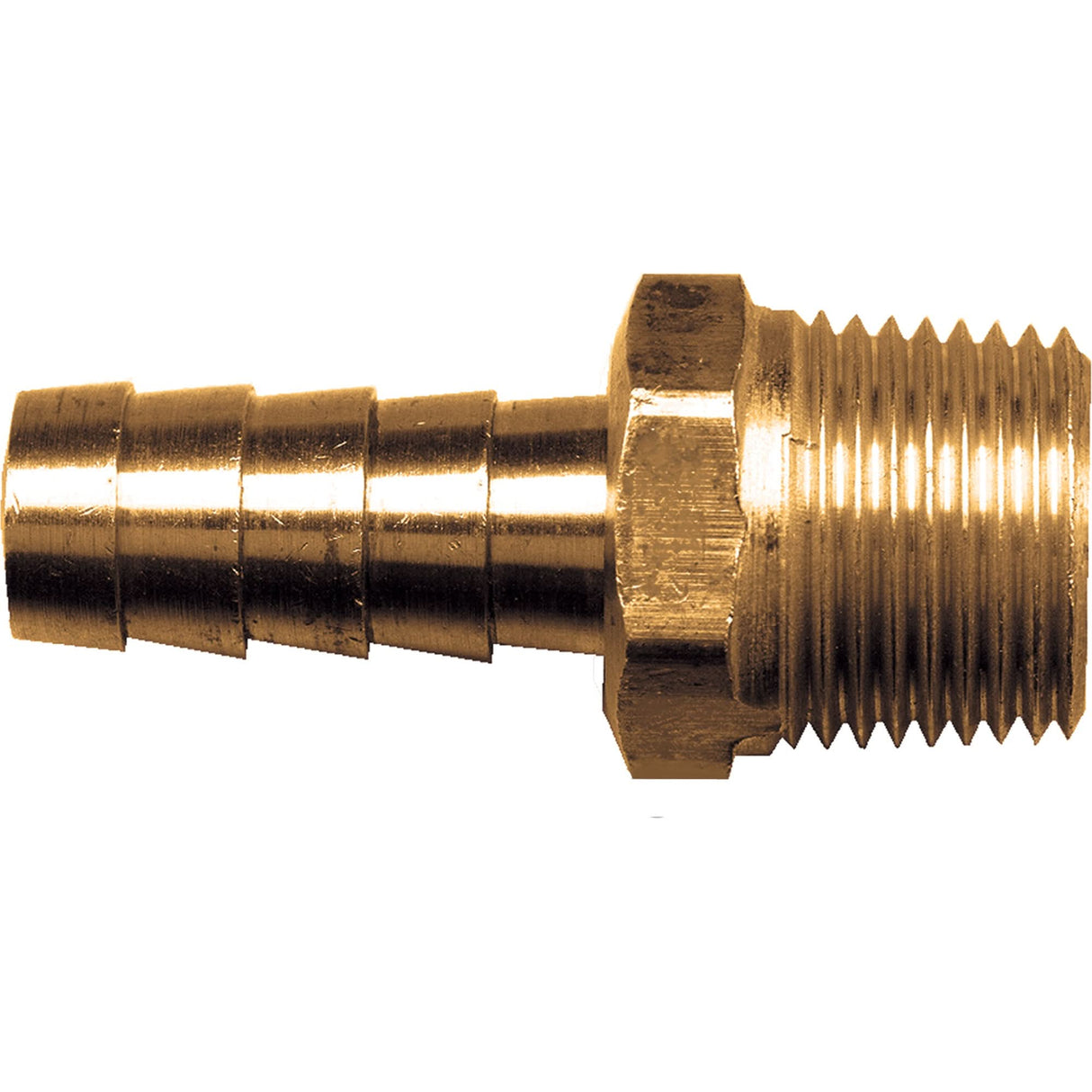 Male Hose Connector, Brass, 3/4" x 3/4"